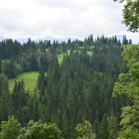 U Lassaków Poronin Zewnętrze zdjęcie