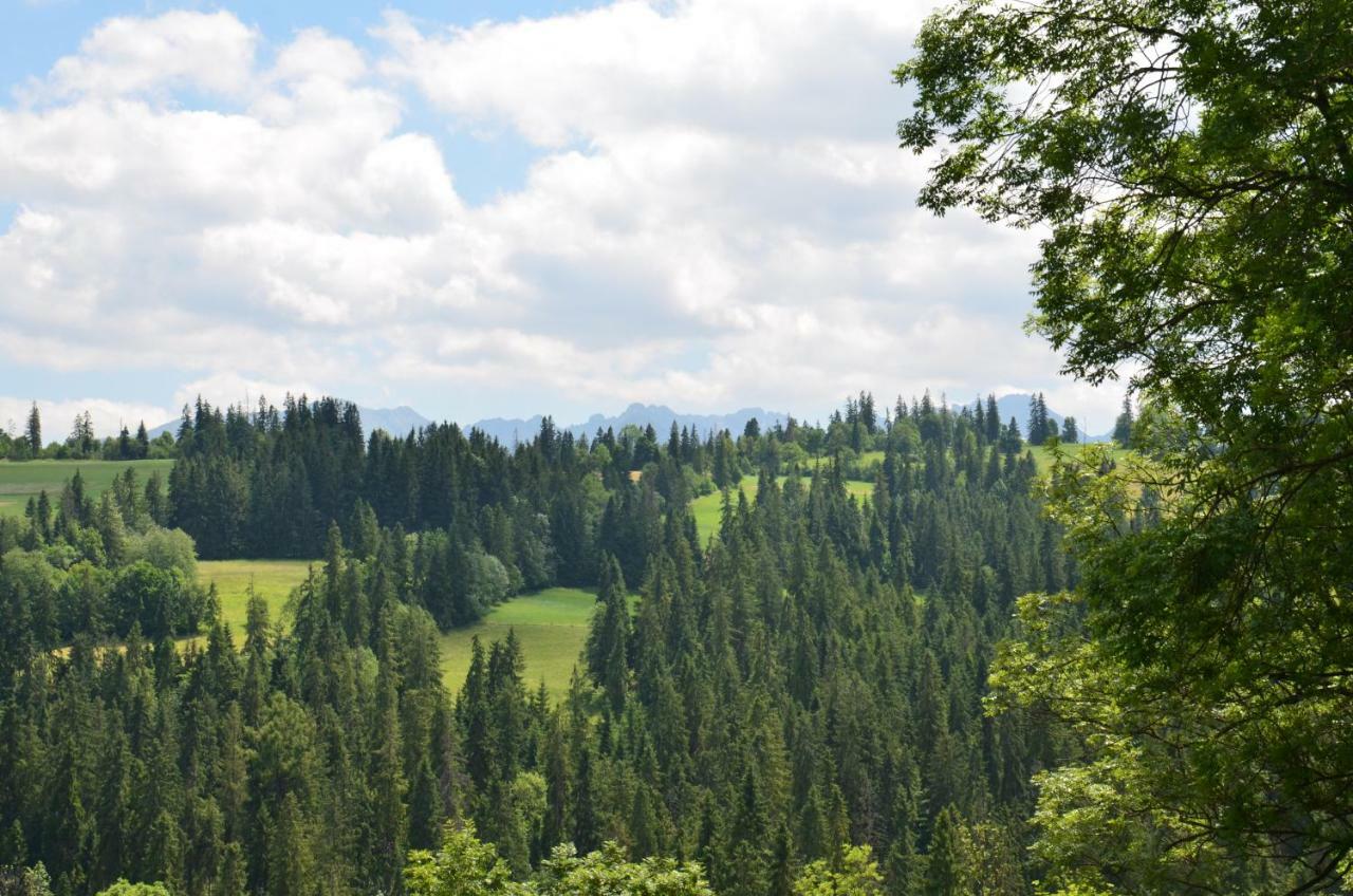U Lassaków Poronin Zewnętrze zdjęcie